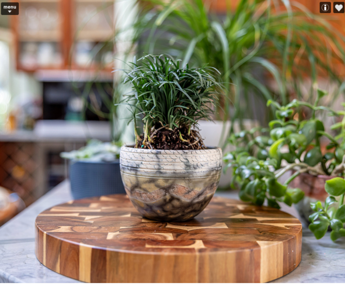 Wave ~ Raku-Fired Planter